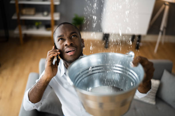 Best Mold removal after water damage  in Foster Brook, PA