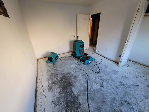 Best Ceiling water damage repair  in Foster Brook, PA