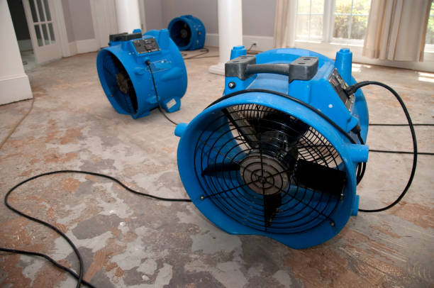 Best Flooded house restoration  in Foster Brook, PA