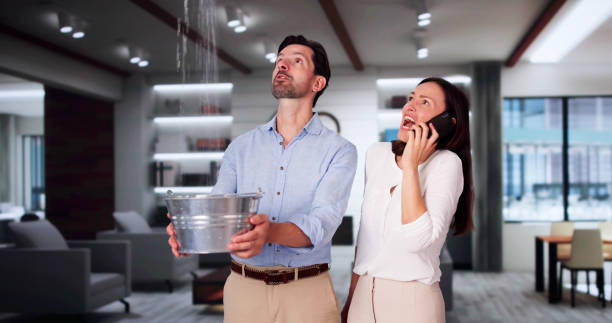 Best Water damage restoration company  in Foster Brook, PA